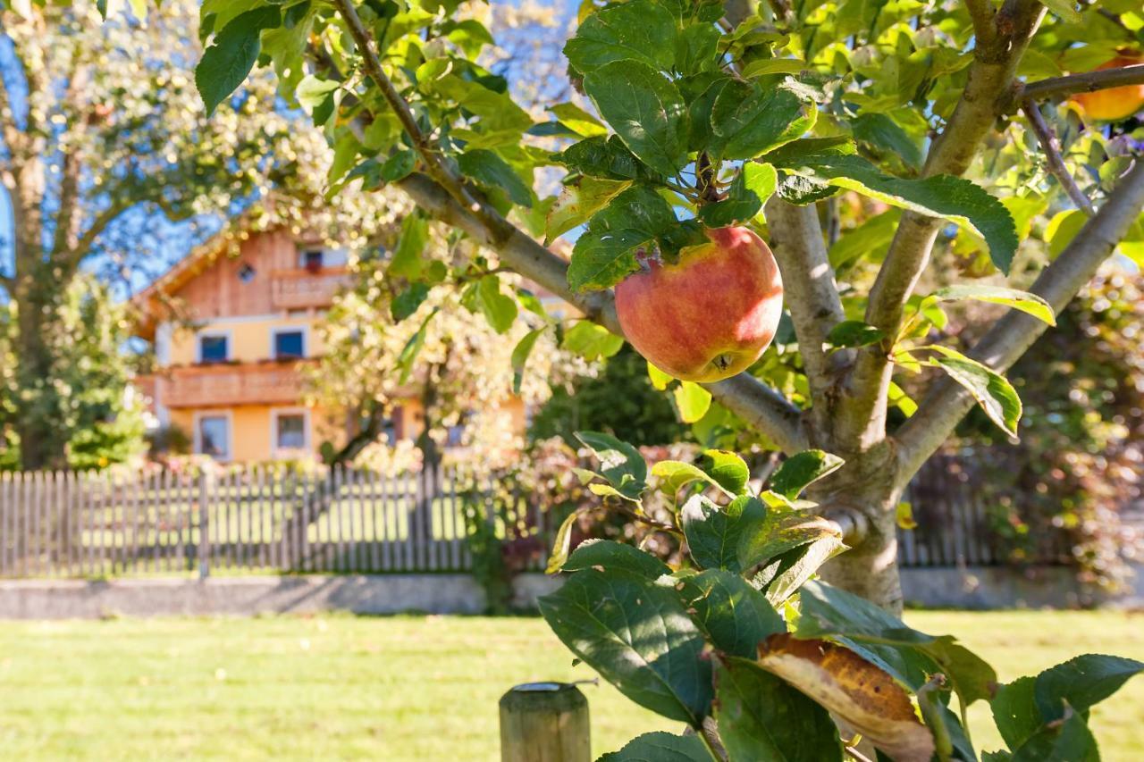 Girlinggut Schlafen Starten Salzburg Elixhausen ภายนอก รูปภาพ